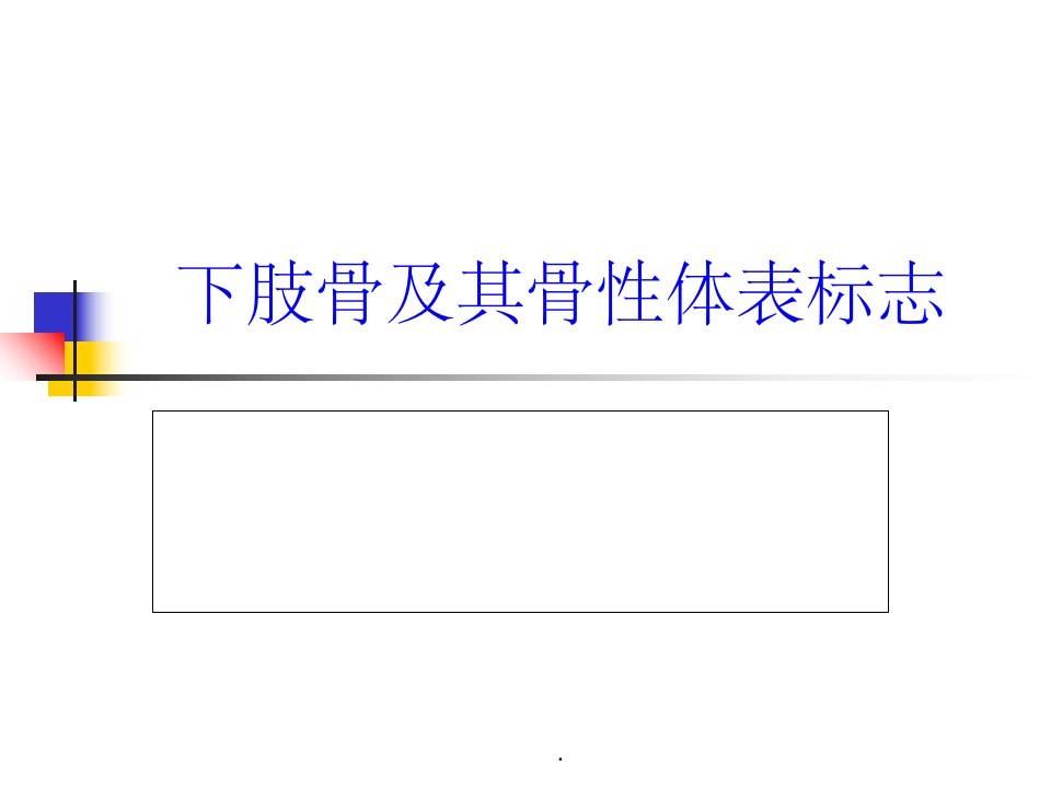 项目4下肢骨及其骨性体表标志