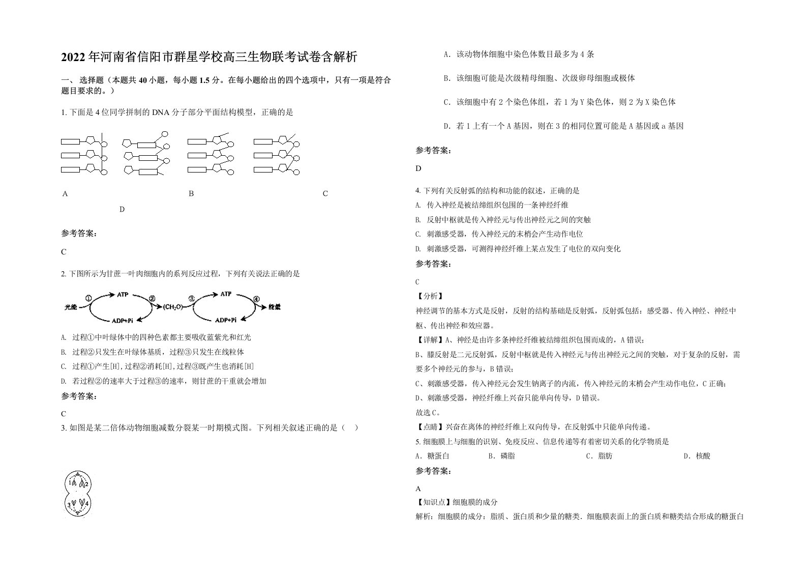 2022年河南省信阳市群星学校高三生物联考试卷含解析