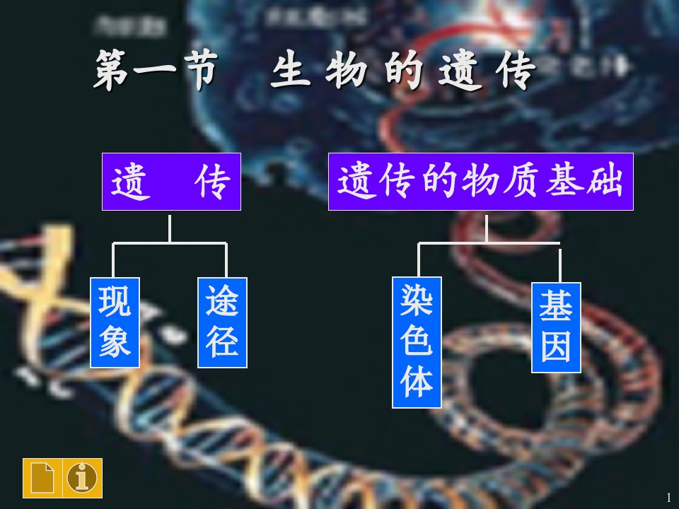 生物的遗传优秀版电子版本