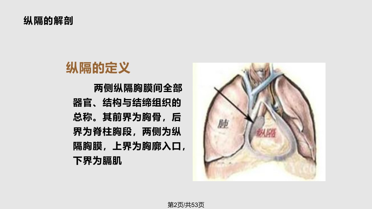 纵膈肿瘤学习