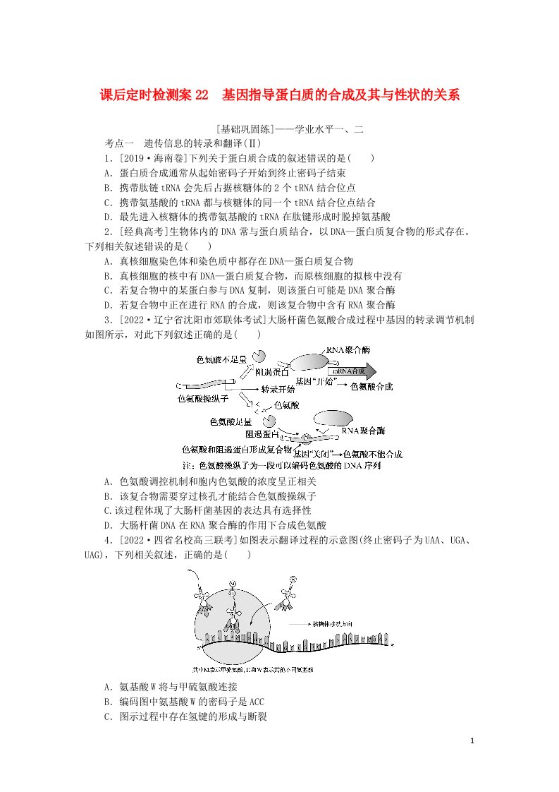 2023版新教材高考生物一轮复习课后定时检测案22基因指导蛋白质的合成及其与性状的关系