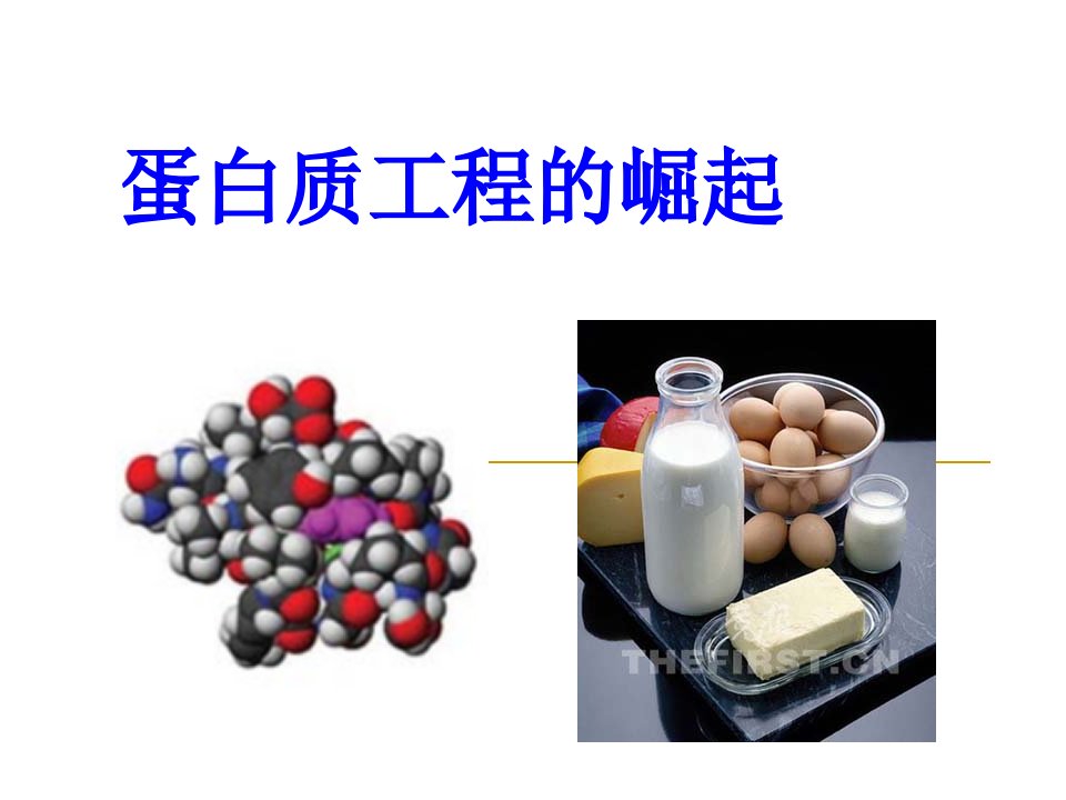 基因工程第一章第四节蛋白质工程的崛起ppt课件