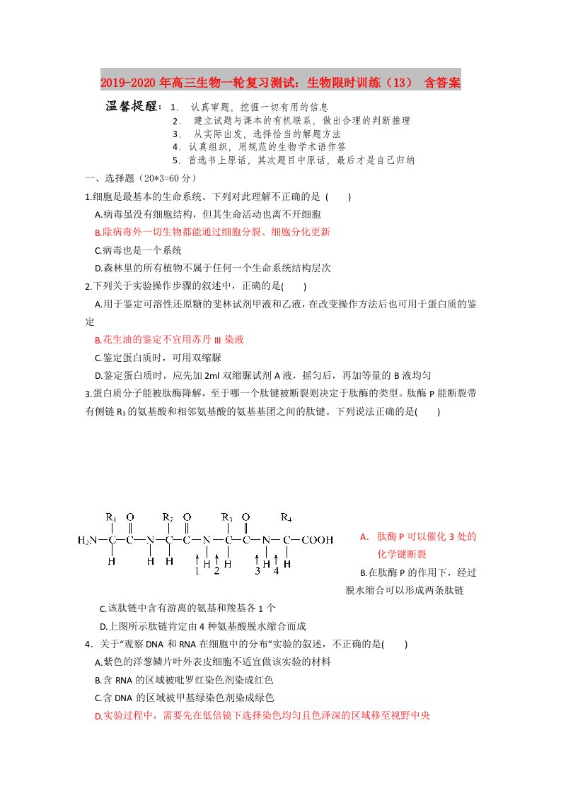 2019-2020年高三生物一轮复习测试：生物限时训练（13）