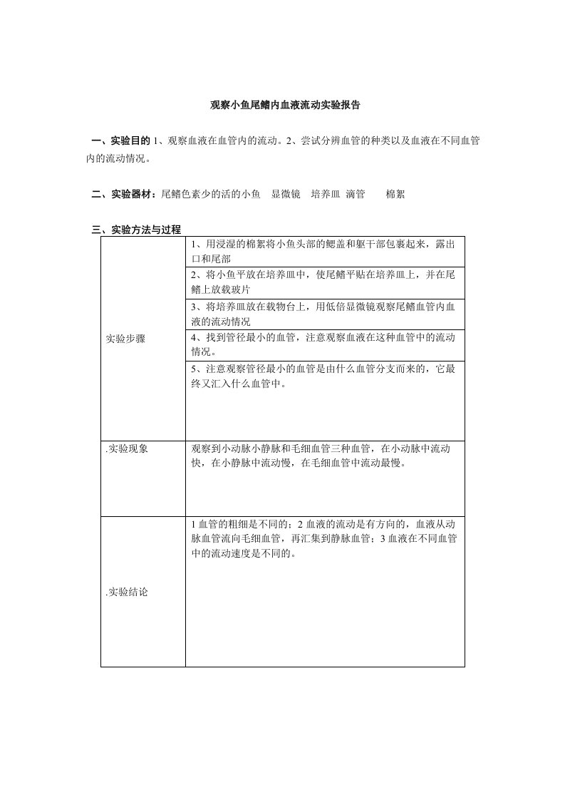 观察小鱼尾鳍内血液流动实验报告单