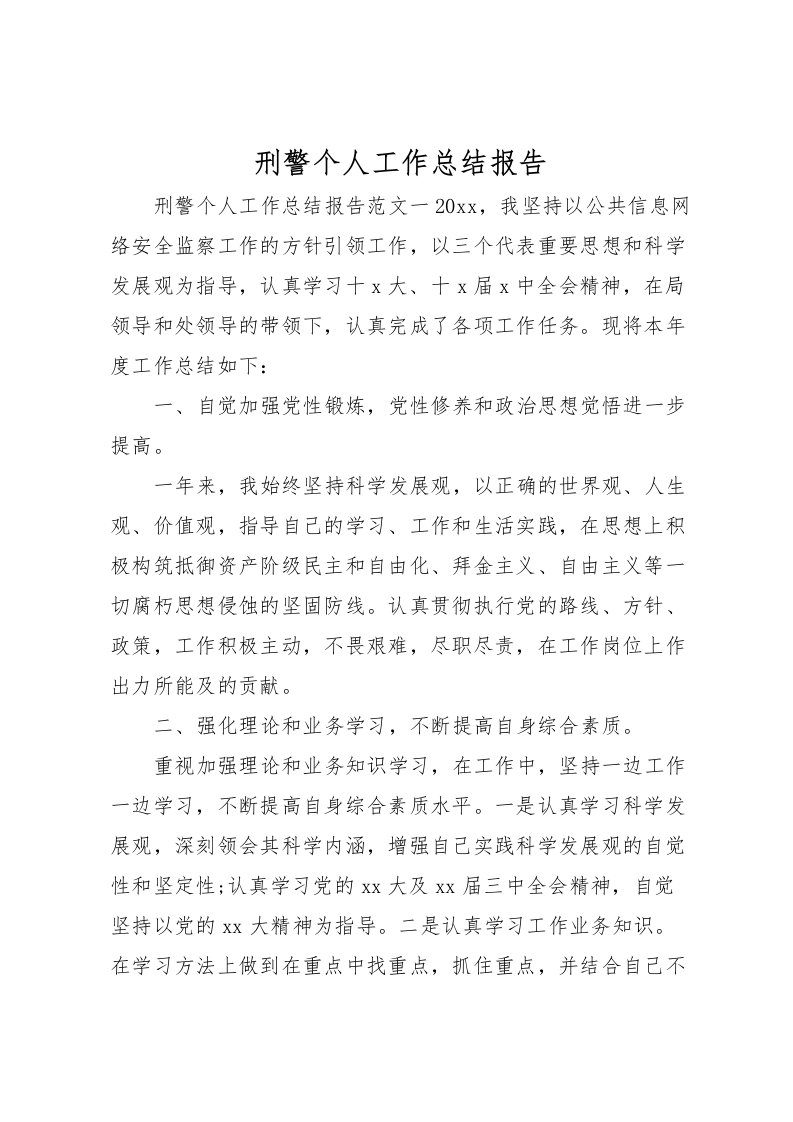 2022刑警个人工作总结报告