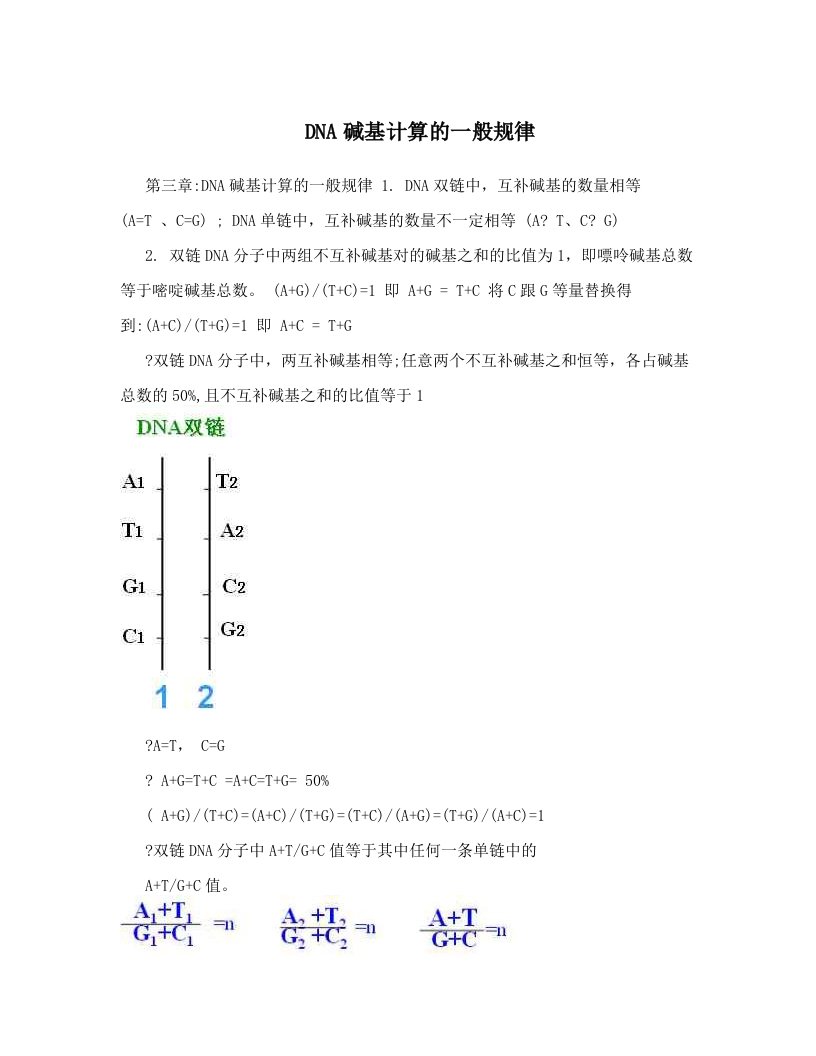 DNA碱基计算的一般规律