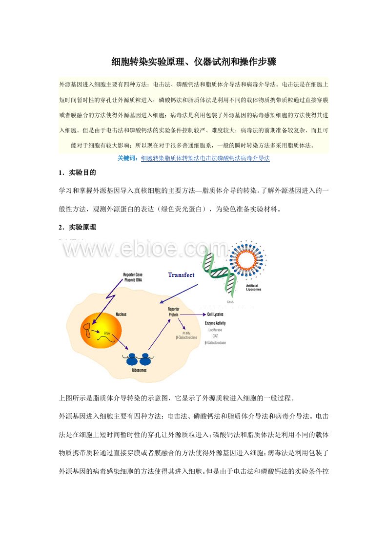 细胞转染实验原理