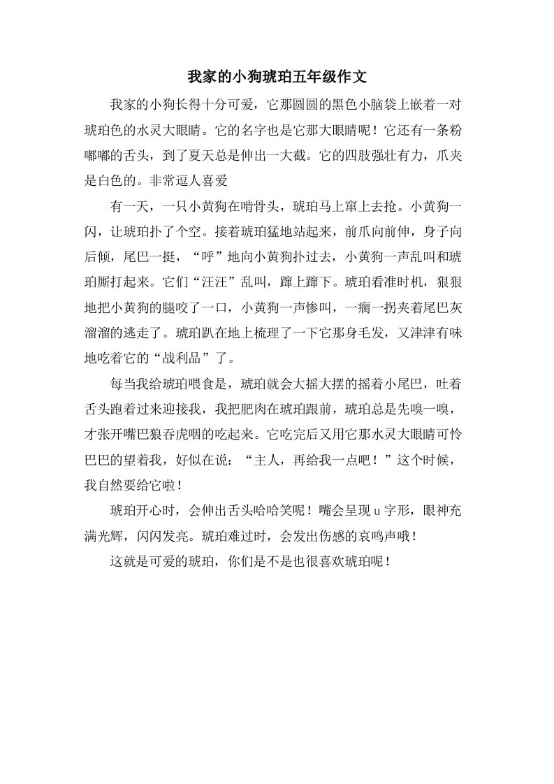 我家的小狗琥珀五年级作文