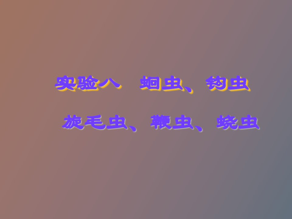 实验八蛔虫、钩虫、旋毛虫、鞭虫、蛲虫