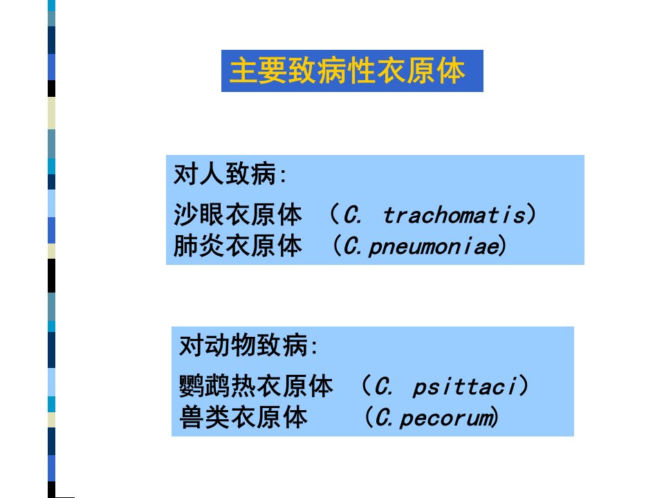 第19章衣原体Chlamydia