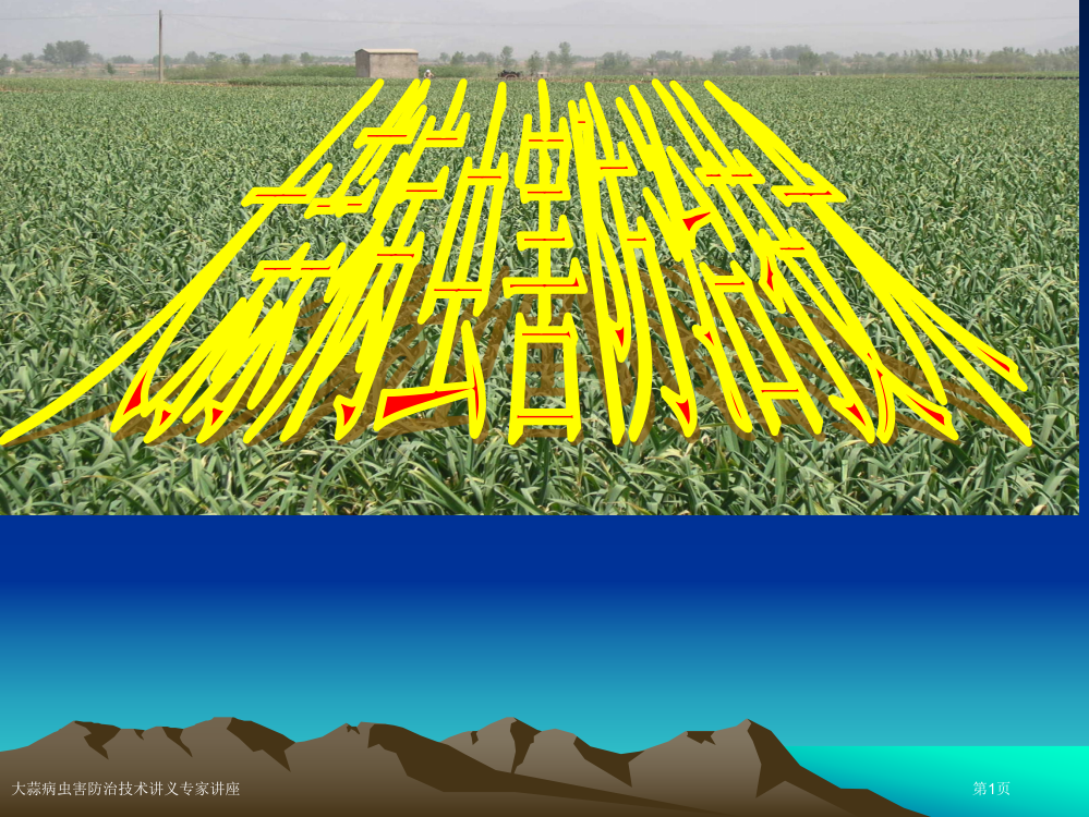 大蒜病虫害防治技术讲义专家讲座