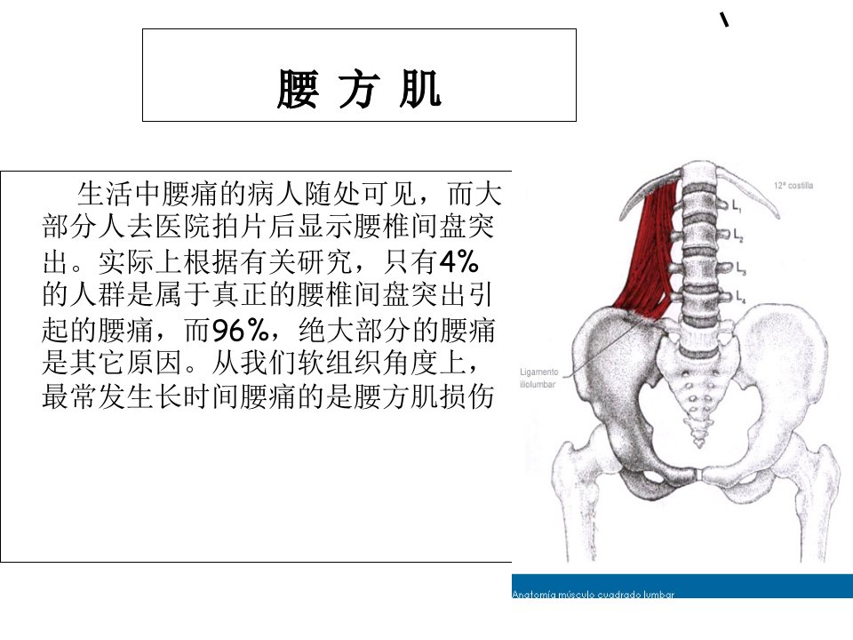 处理腰方肌受损