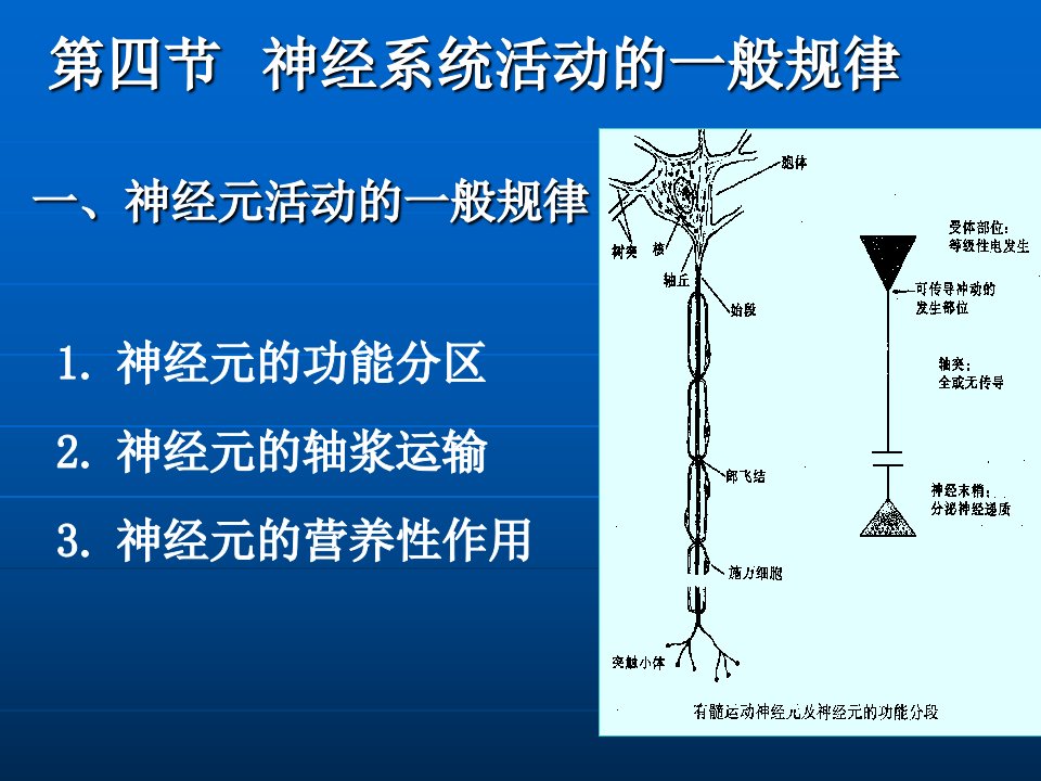 第四节