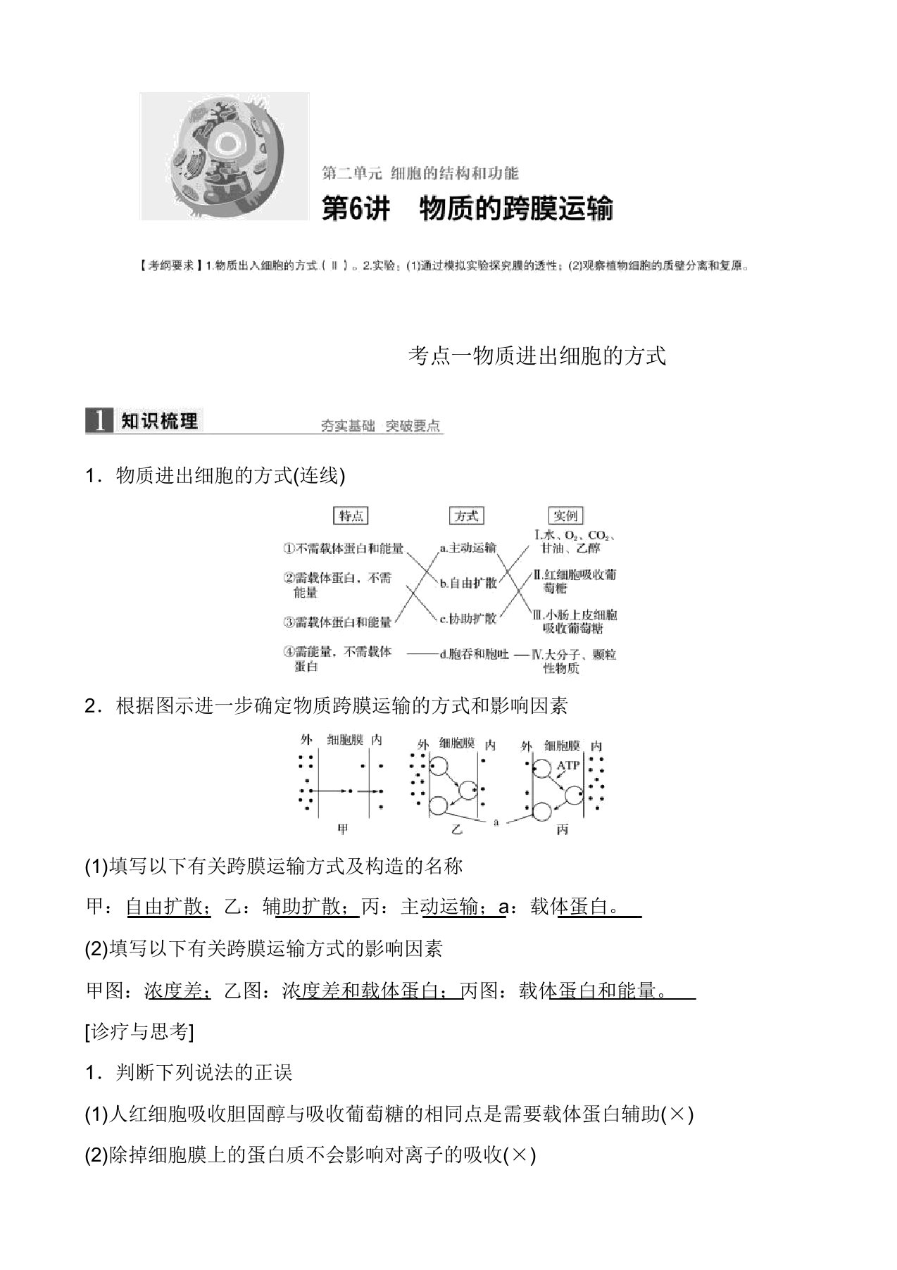 高考生物第一轮知识点突破复习教案4(物质进出细胞的方式)