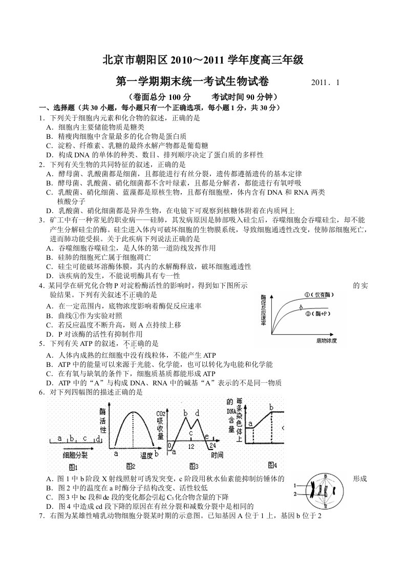 北京市朝阳区2011届高三第一学期期末考试-生物