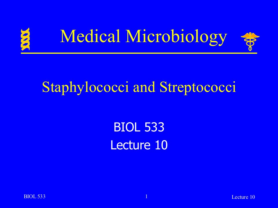 英文版微生物学授课讲义lecture10