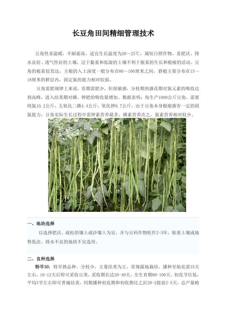 长豆角种植管理技术(整理版)