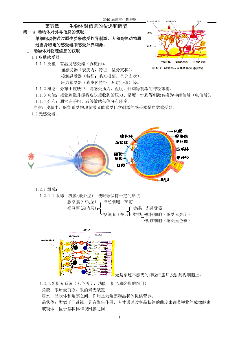 第五章生物体对信息的传递和调节