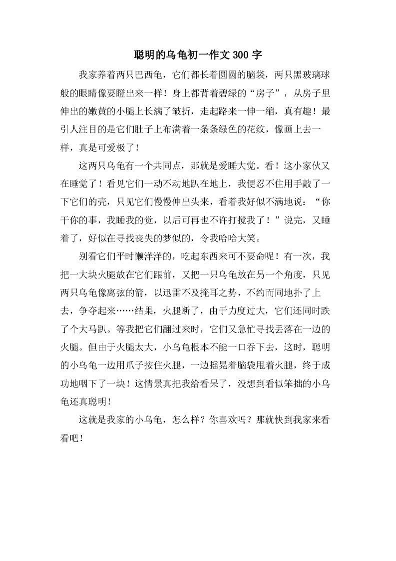 聪明的乌龟初一作文300字