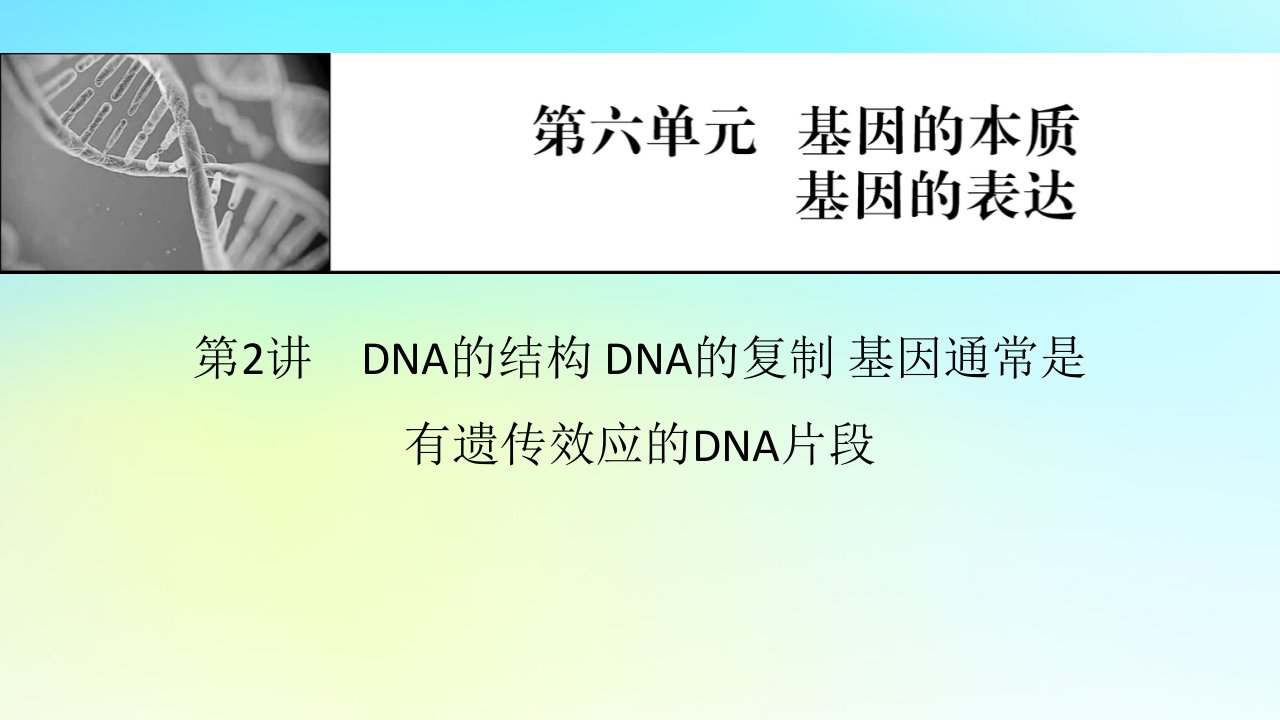 2024版高考生物一轮总复习第六单元基因的本质基因的表达第2讲DNA的结构DNA的复制基因通常是有遗传效应的DNA片段课件