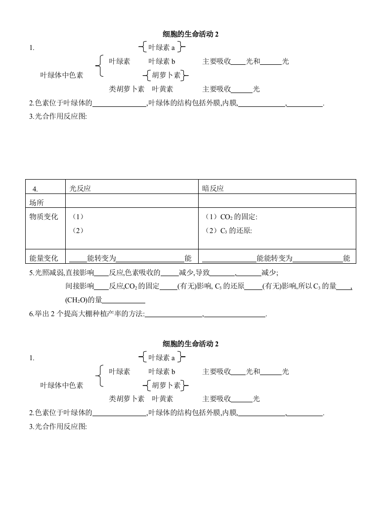 细胞的生命活动2