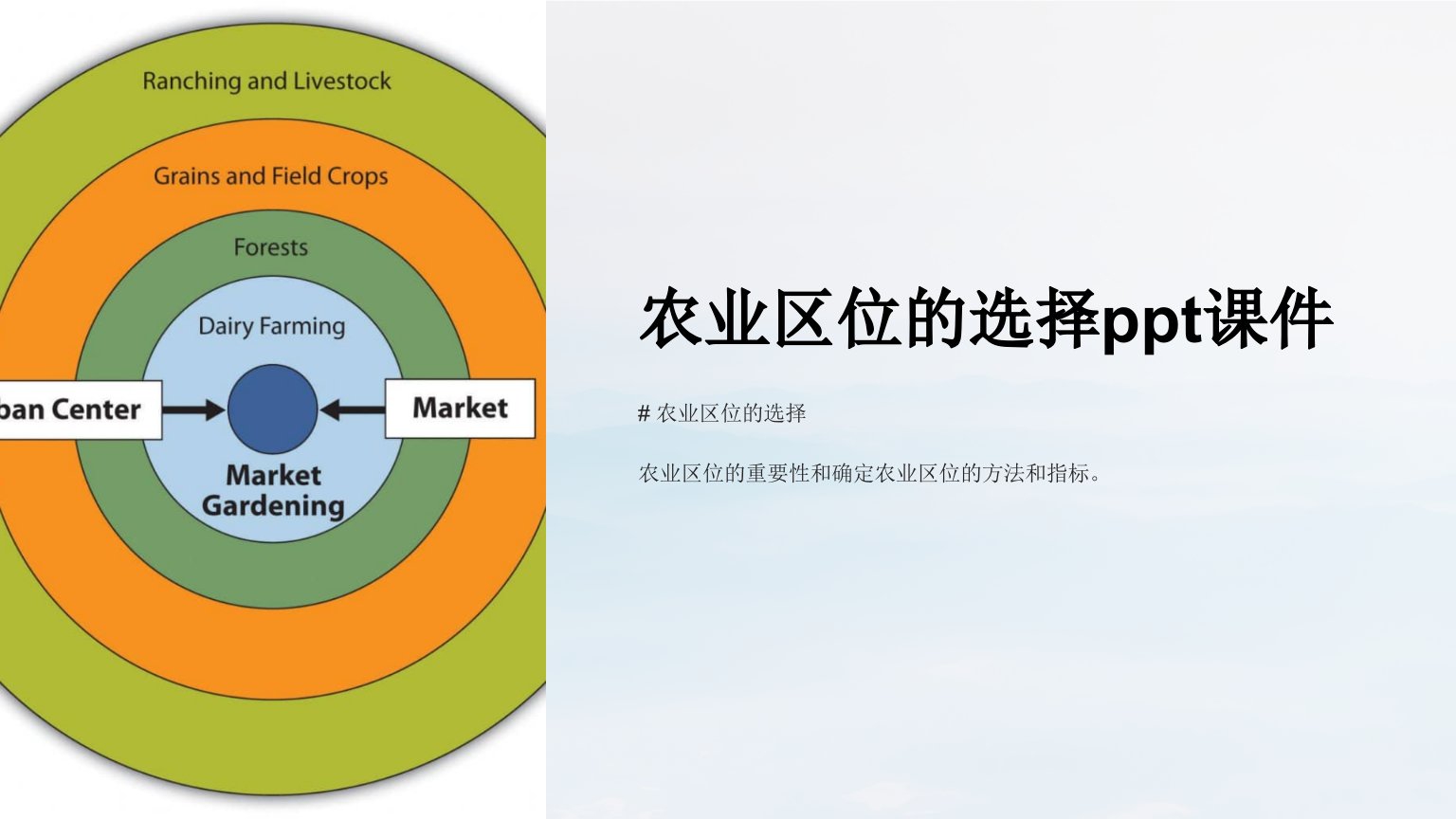 农业区位的选择课件