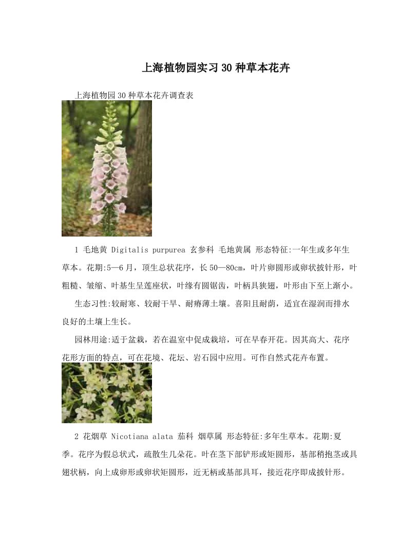 mleAAA上海植物园实习30种草本花卉