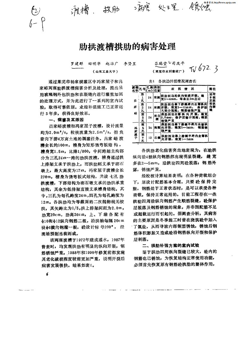 肋拱渡槽拱肋的病害处理