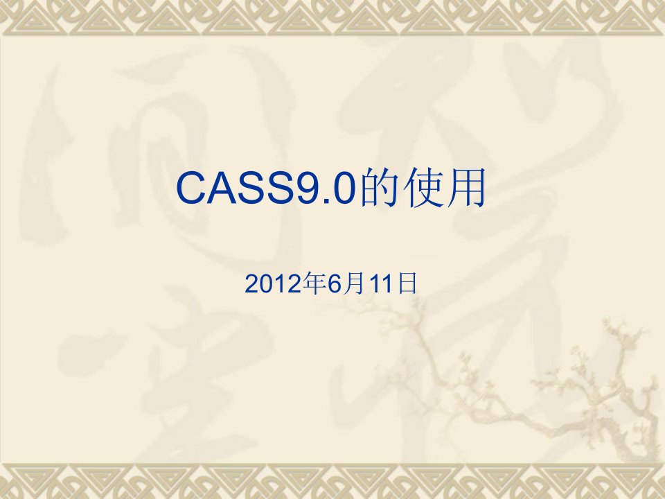 CASS9.0的使用