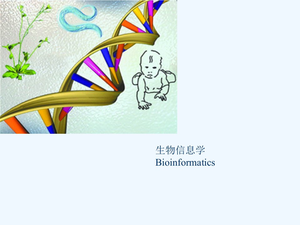 bioxm使用说明