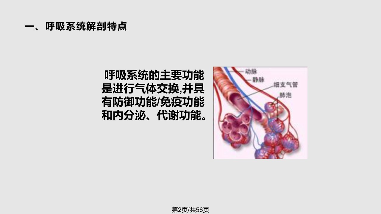 6呼吸系统疾病病人的护理