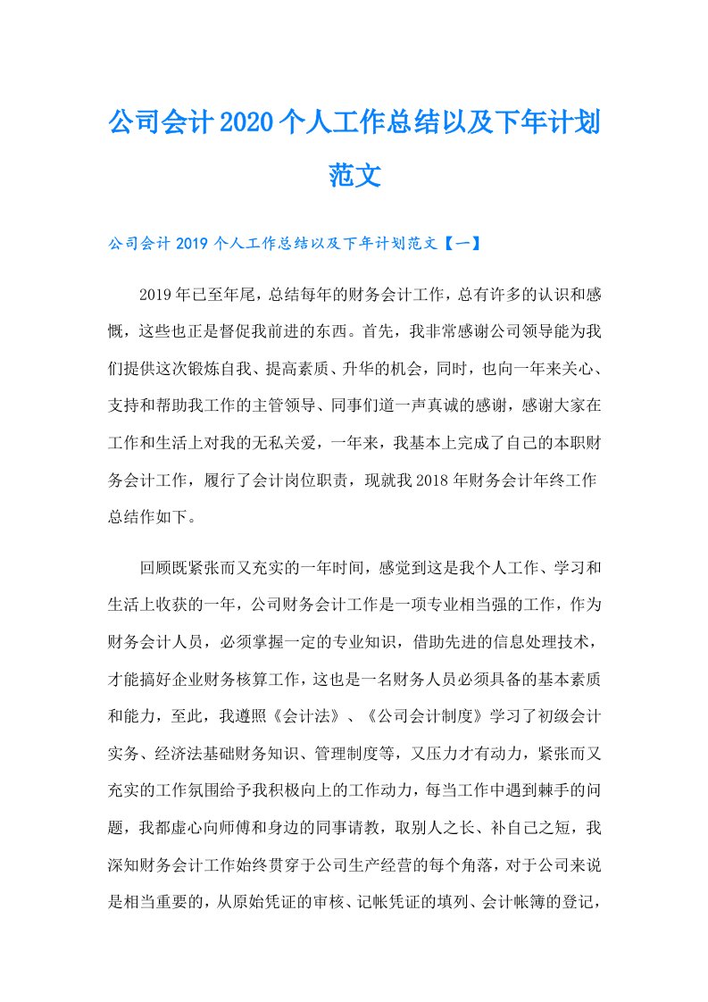 公司会计个人工作总结以及下年计划范文