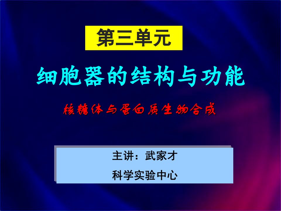 核糖体与蛋白质生物合成