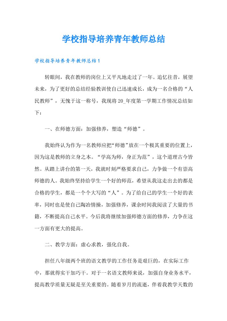 学校指导培养青年教师总结