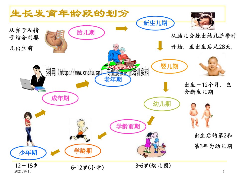 人群营养学基础知识讲义