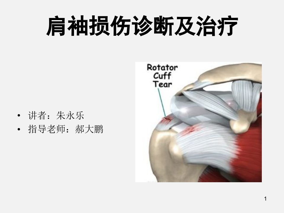 肩袖损伤诊断与治疗
