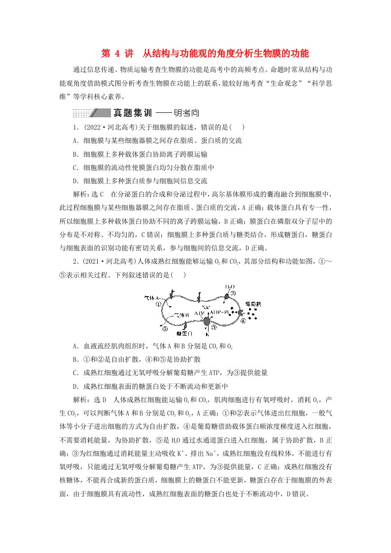 2024届高考生物一轮总复习第二单元细胞的基本结构与物质的输入和输出第4讲从结构与功能观的角度分析生物膜的功能教师用书