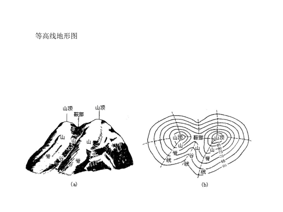 精品等高线地形图05832