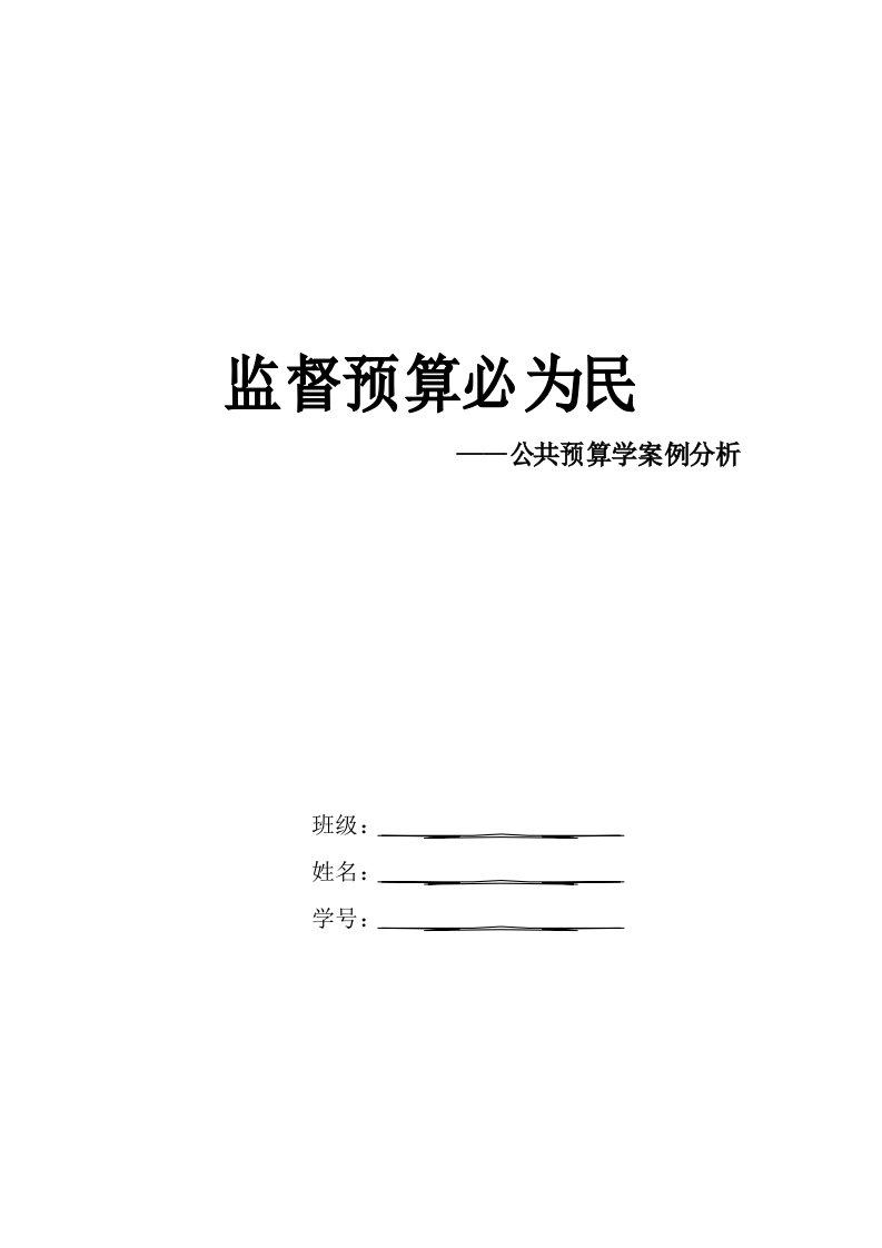 公共预算案例分析