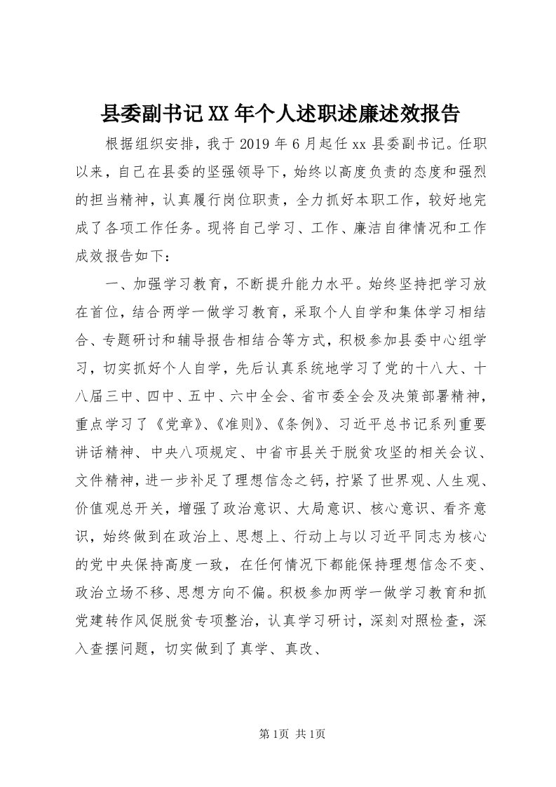 6县委副书记某年个人述职述廉述效报告