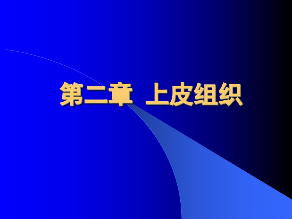 组织胚胎学教案课件(4)