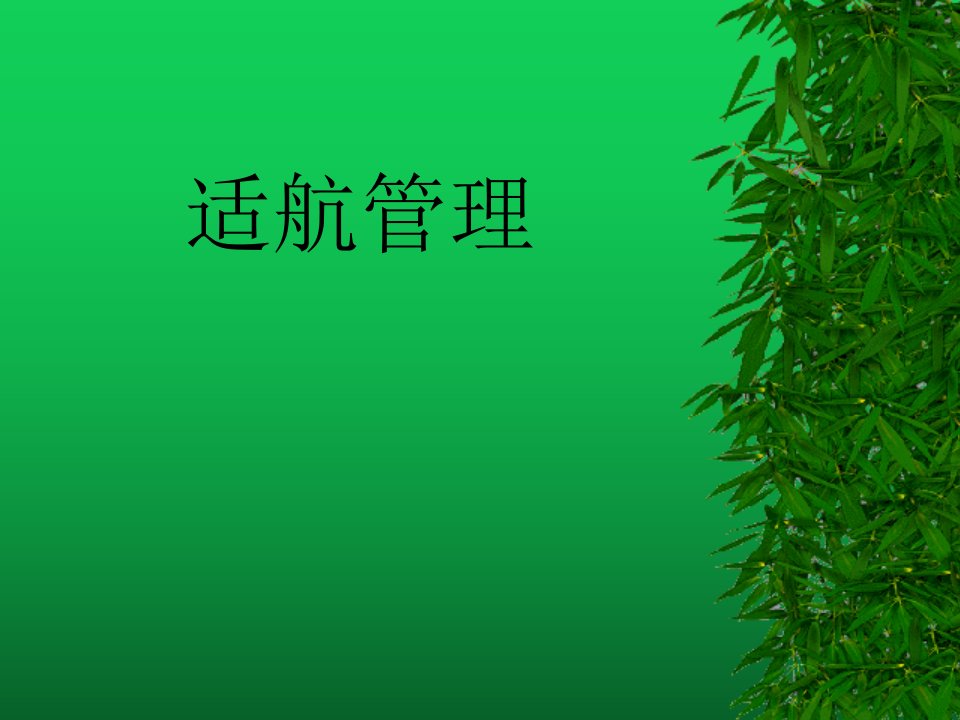 适航性资料