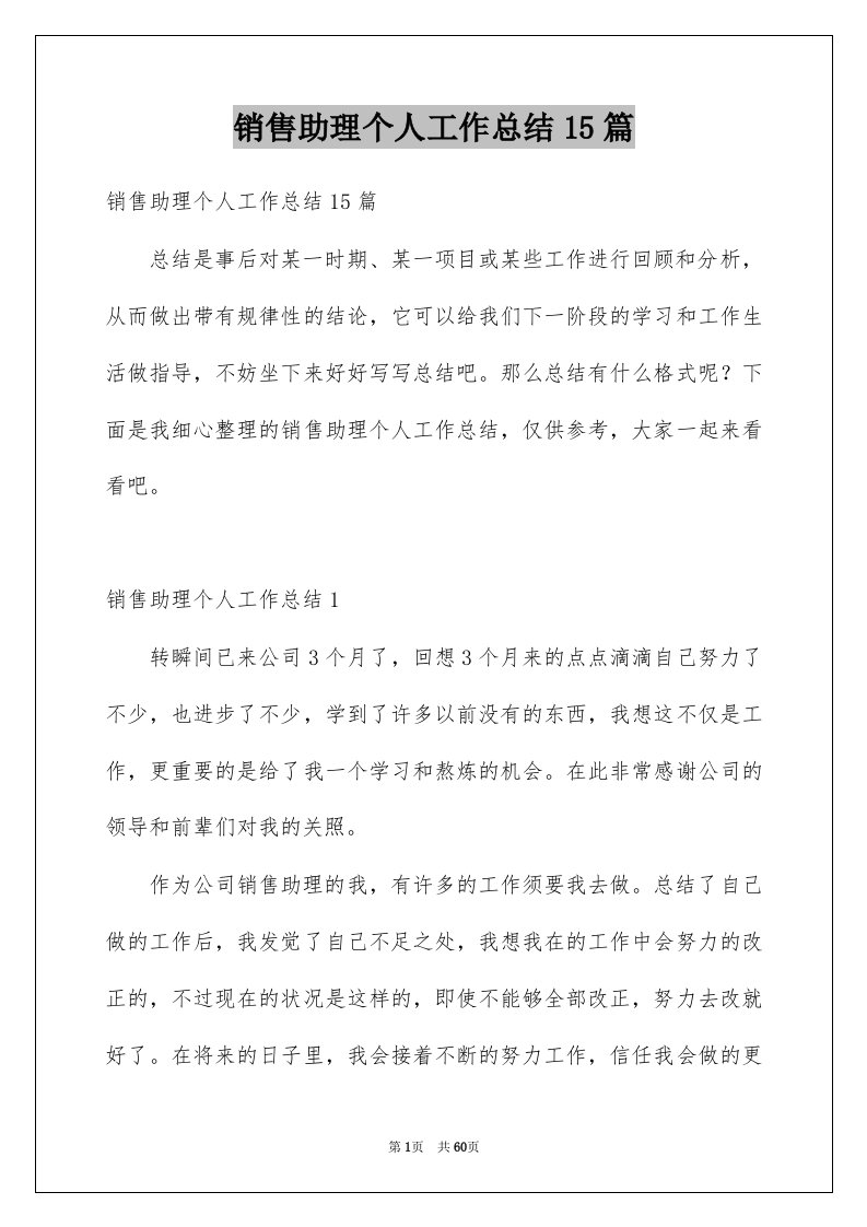 销售助理个人工作总结15篇例文