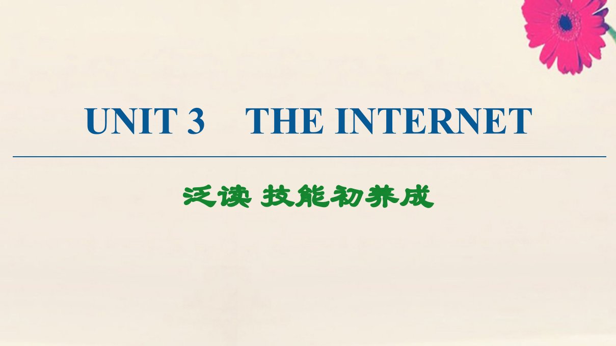 新教材高中英语Unit3Theinternet泛读技能初养成课件新人教版必修第二册