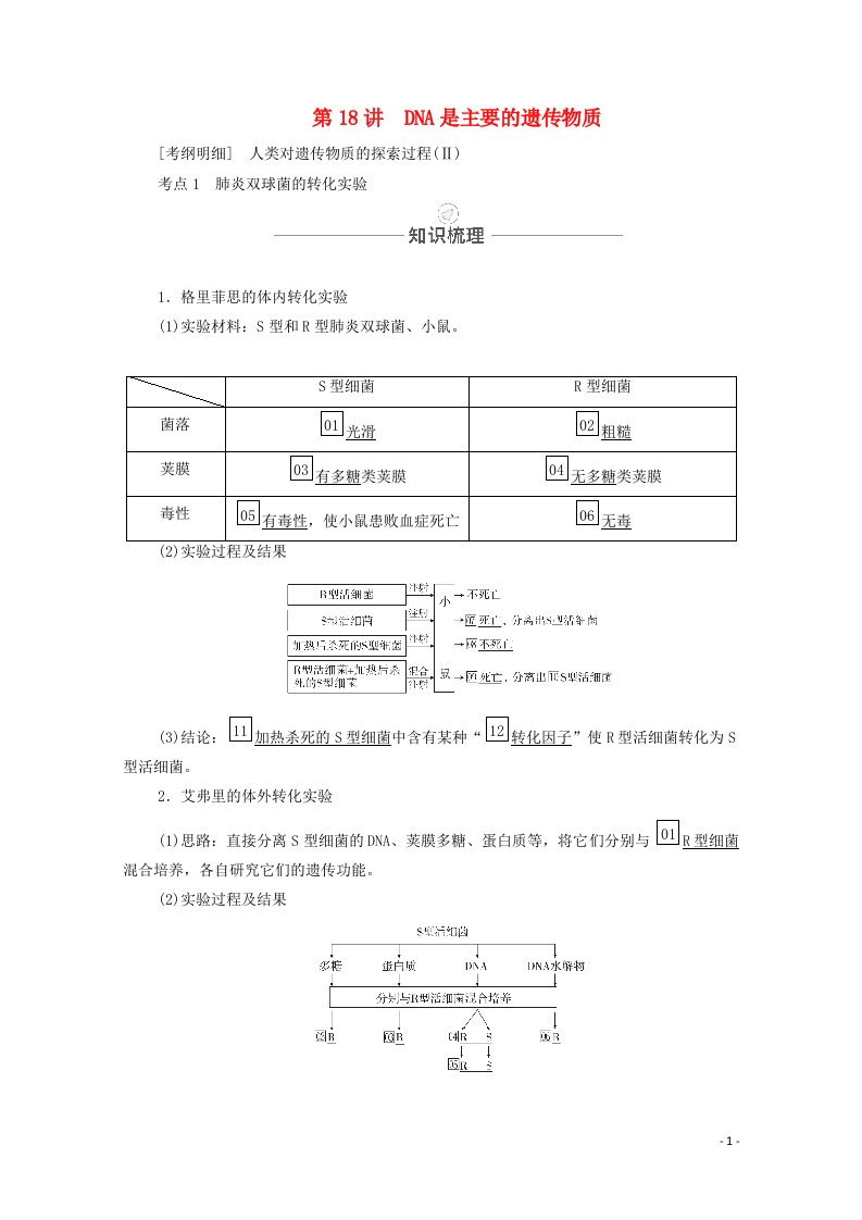 2021届高考生物一轮复习第6单元遗传的物质基础第18讲DNA是主要的遗传物质教学案新人教版必修2