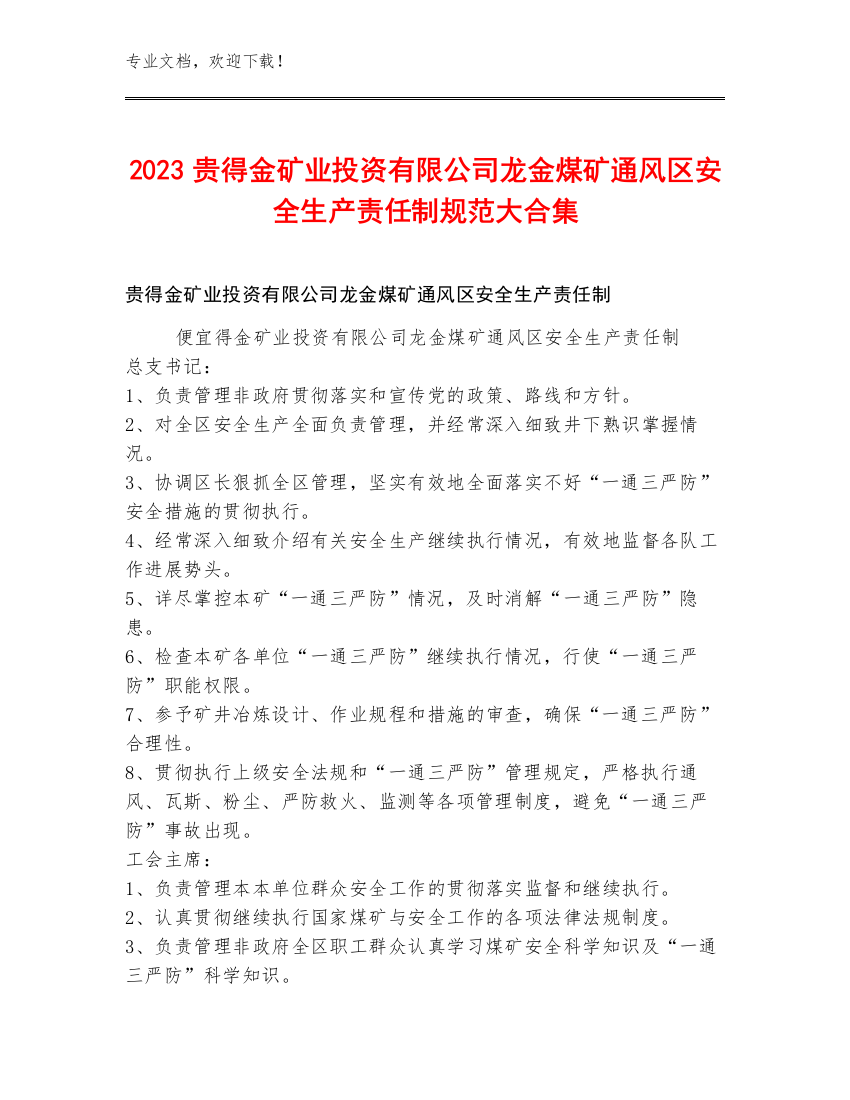 2023贵得金矿业投资有限公司龙金煤矿通风区安全生产责任制规范大合集