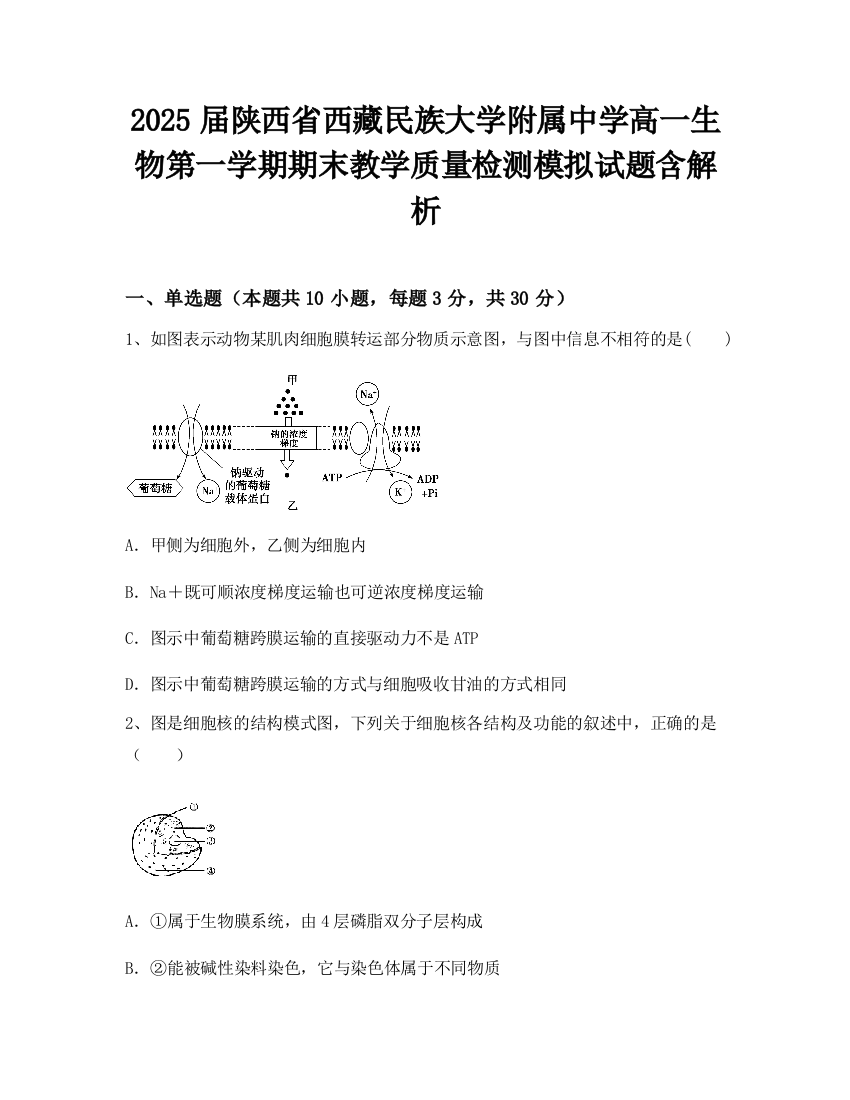 2025届陕西省西藏民族大学附属中学高一生物第一学期期末教学质量检测模拟试题含解析