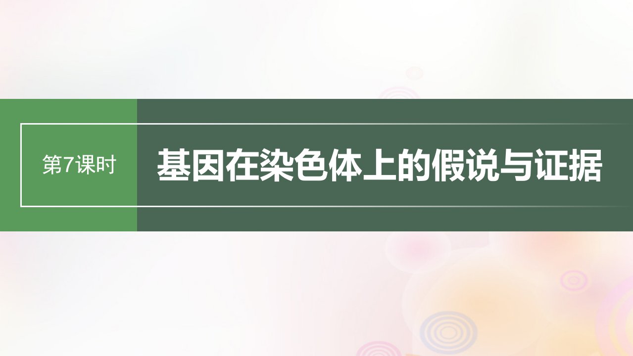 鲁湘辽新教材2024届高考生物一轮复习第五单元基因的传递规律第7课时基因在染色体上的假说与证据课件