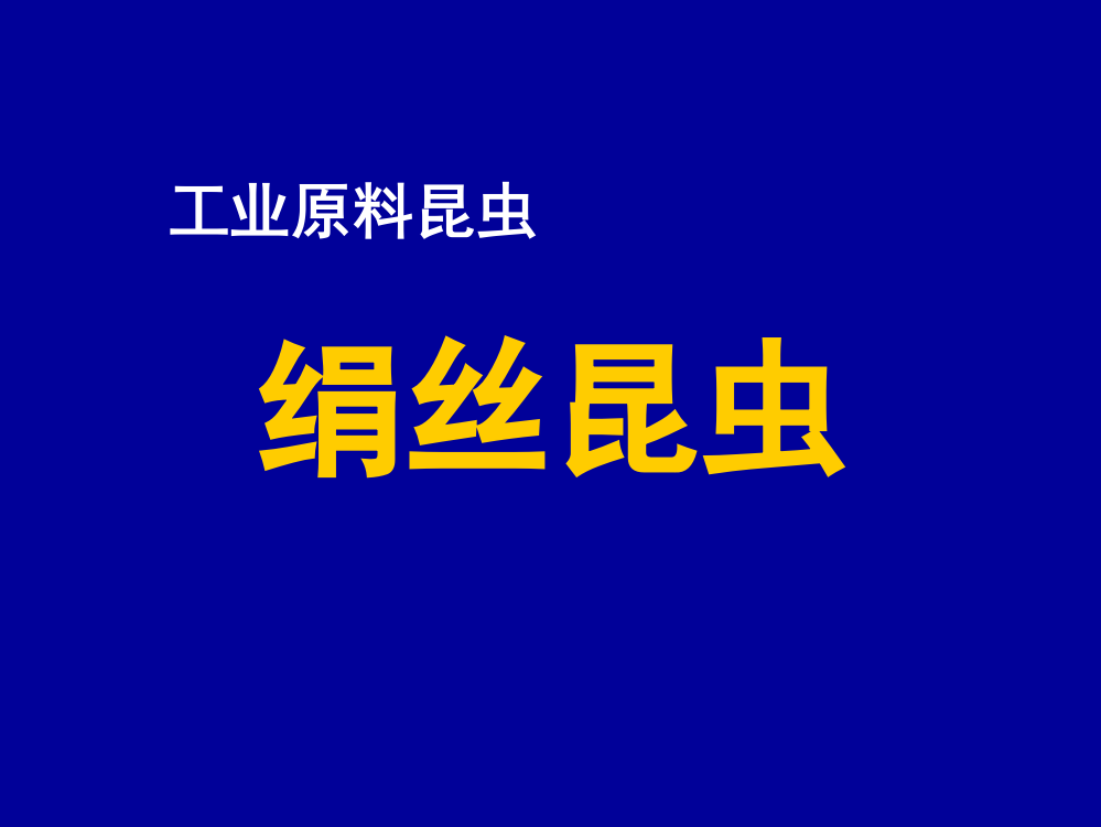 工业原料昆虫绢丝昆虫ppt课件