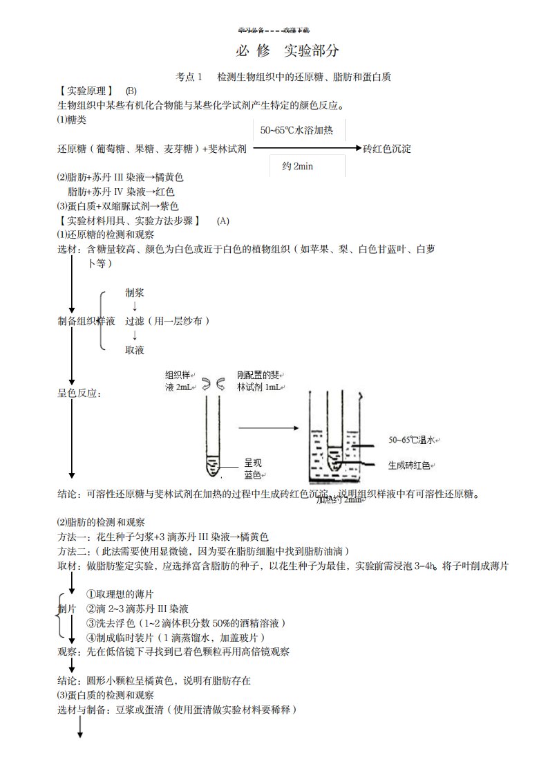 2023年江苏小高考生物实验全A精品讲义